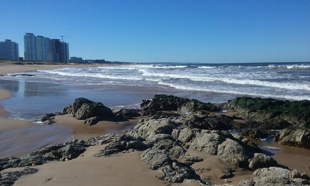 Spiaggia Brava Punta Punta del Este Buitenkant foto